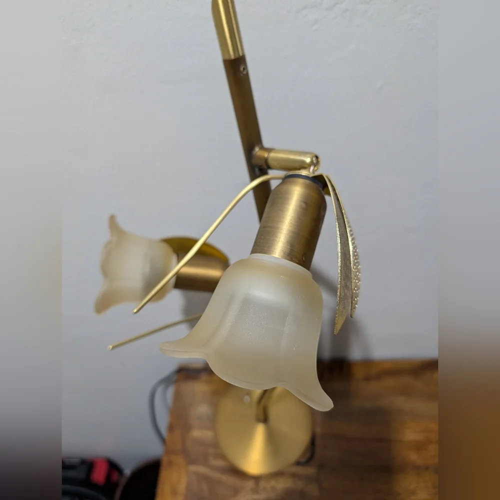 MCM Brass Desk Lamp - 2-Light Goose Neck with Scalloped Glass‎ Shades